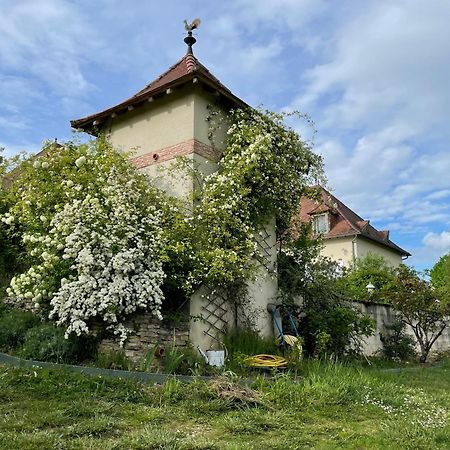 La Maison Du Parc Saint-Raphael  Екстер'єр фото