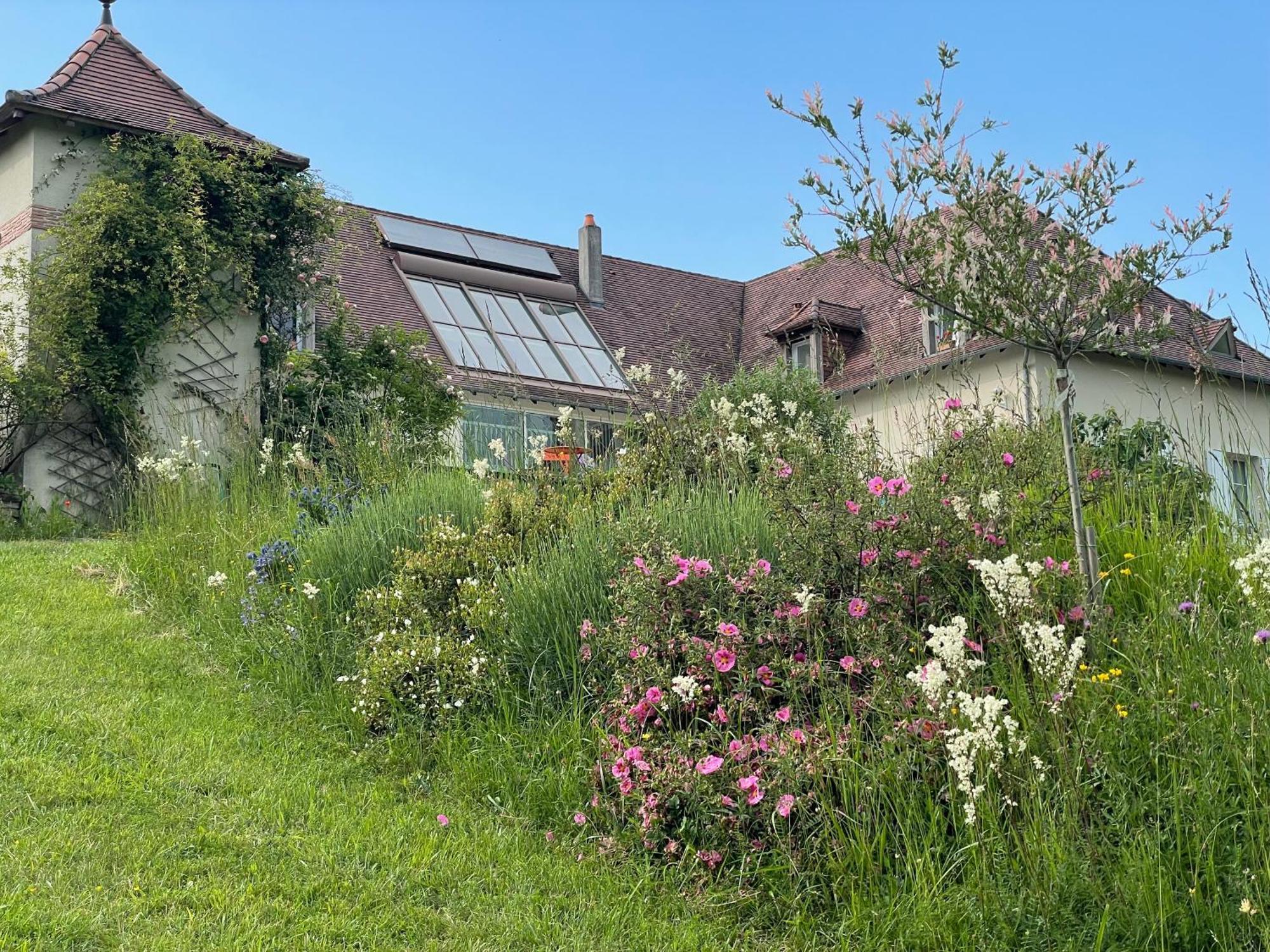 La Maison Du Parc Saint-Raphael  Екстер'єр фото